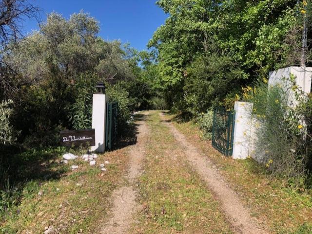 Willa Kyparissia De Wandelboom Vrises  Zewnętrze zdjęcie